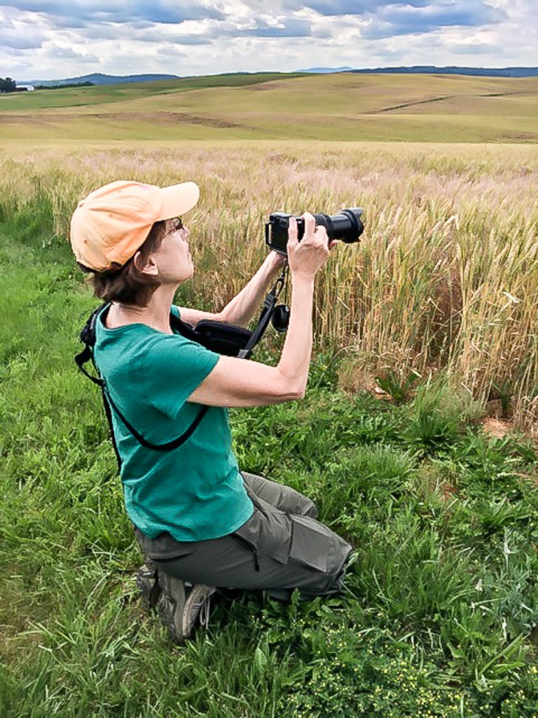 MacLeod Photography. McLeod Photography. Gail MacLeod Lexington VA